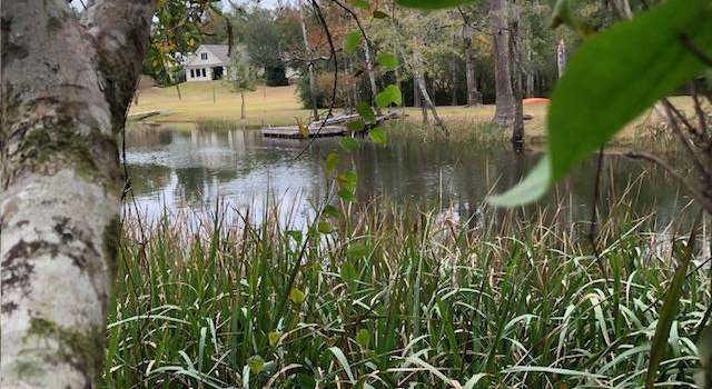 Photo of 0 Inv 4145 Rd, Biloxi, MS 39532