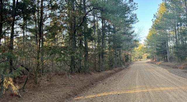 Photo of County Road 1113, Kosciusko, MS 39090