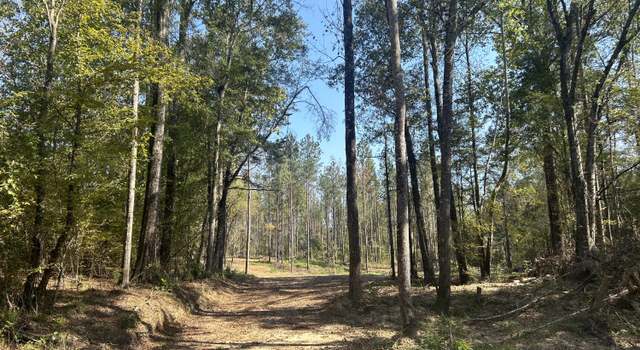 Photo of Rails Rd, Georgetown, MS 39078