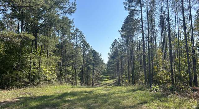 Photo of Rials Rd, Georgetown, MS 39078