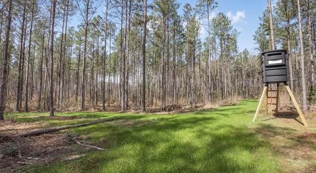 Photo of ... Burris Rd, MS 39664