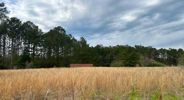 Photo of 431 Bass Burkett Rd, Carson, MS 39427