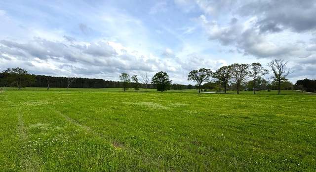Photo of 2451a Dalton Ln, Smithdale, MS 39664