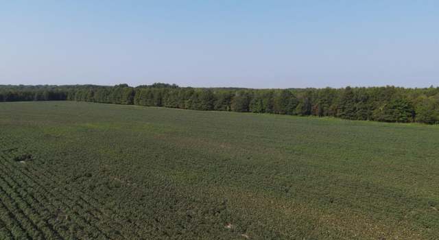 Photo of Clayton, MS 38646