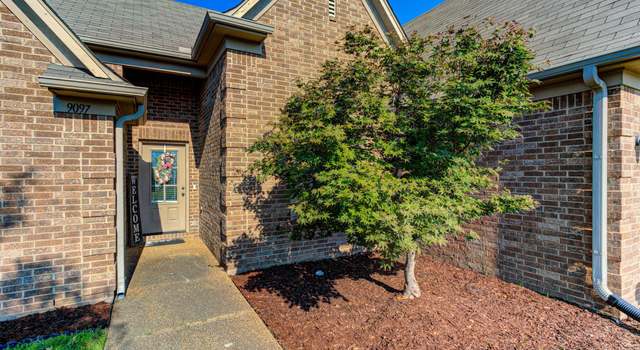 Photo of 9097 Gavin Dr, Olive Branch, MS 38654