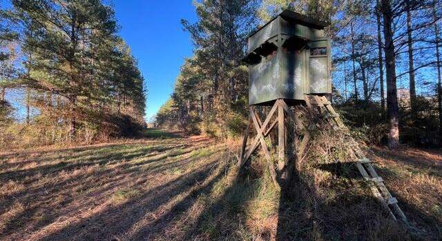 Photo of Hwy 11, Heidelberg, MS 39439