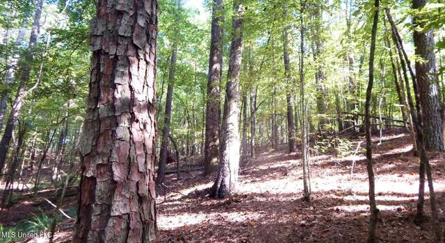 Photo of 414 247 Country Road, Bruce, MS 38915