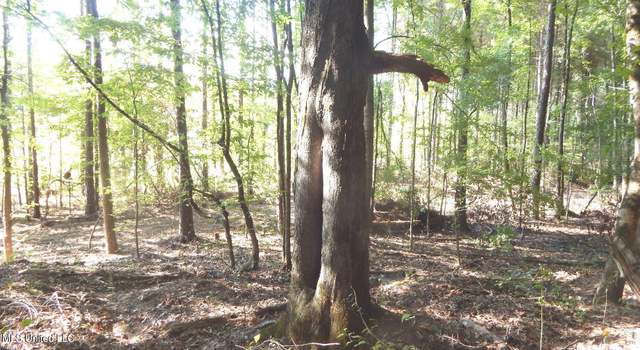 Photo of 404 247 Country Road, Bruce, MS 38915