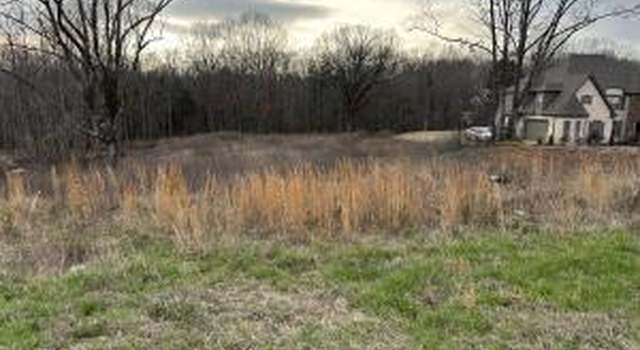 Photo of 217 E Byhalia Creek Farms Rd, Byhalia, MS 38611