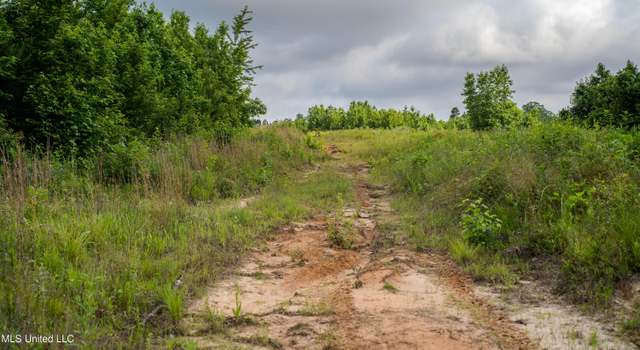 Photo of 0000 Dixie School Hwy, Toomsuba, MS 39364