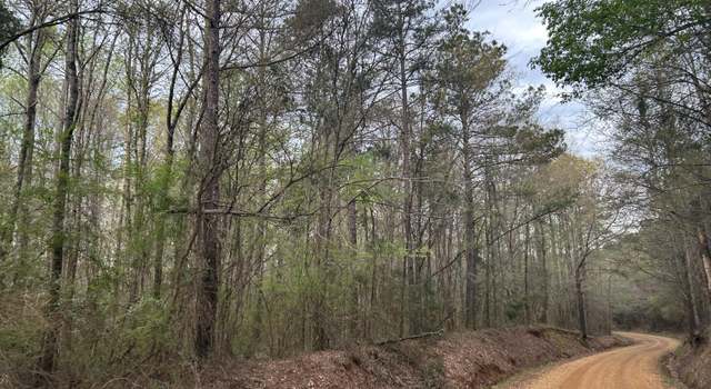 Photo of County Road 270, Union, MS 39365