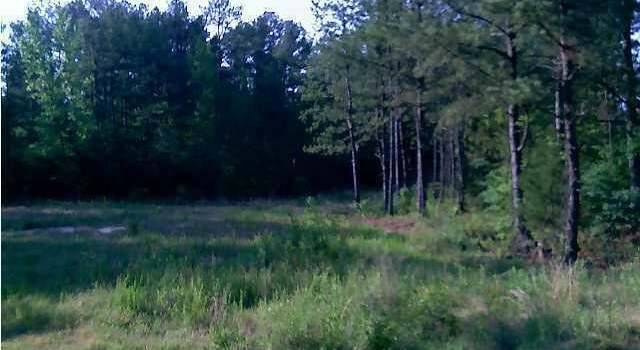 Photo of Enid View Dr, Pope, MS 38658