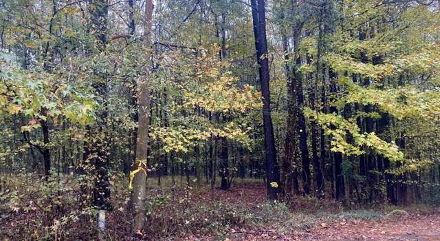 Photo of 0 Hazlewood Cir, Hazlehurst, MS 39083