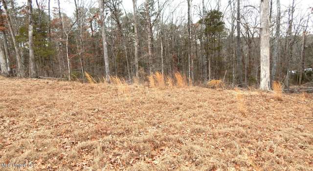 Photo of 70 Woody Cir, Gore Springs, MS 38929