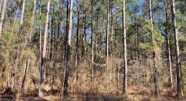 Photo of 00 Sun Rd, Raleigh, MS 39153