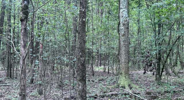 Photo of Shiloh Church Rd, Newton, MS 39345