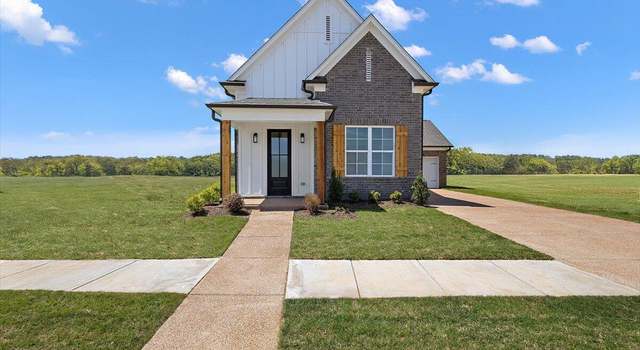 Photo of 847 Coahoma Ct, Nesbit, MS 38651