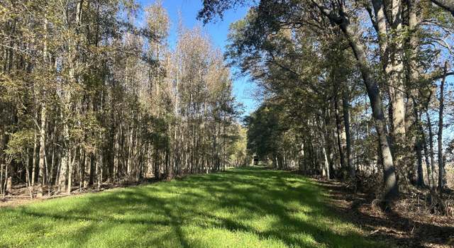 Photo of Goose Lake Rd, Rolling Fork, MS 39159
