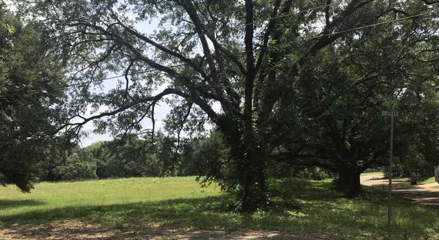 Photo of 0 Moore St, Woodville, MS 39669