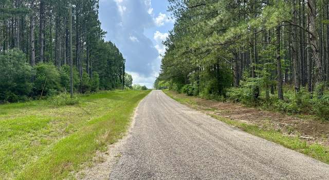 Photo of Old Stateline Rd, Tylertown, MS 39667