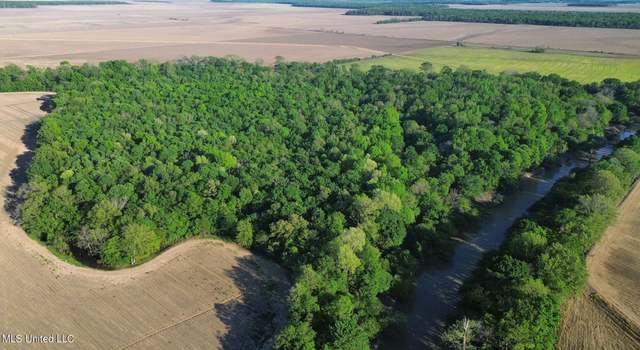 Photo of County Road 523, Schlater, MS 38952