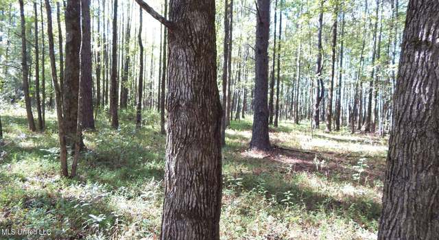 Photo of 22300 7, Coffeeville, MS 38922