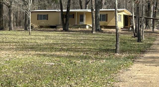 Photo of 1316 County Road 193, Carrollton, MS 38917