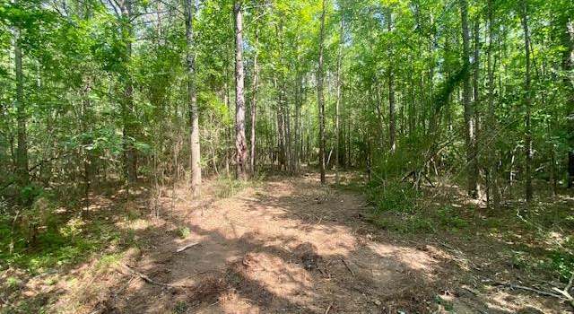Photo of 0 Primitive Dr SE, Ruth, MS 39662