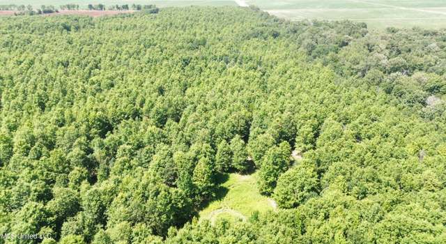 Photo of Hwy 442, Schlater, MS 38952