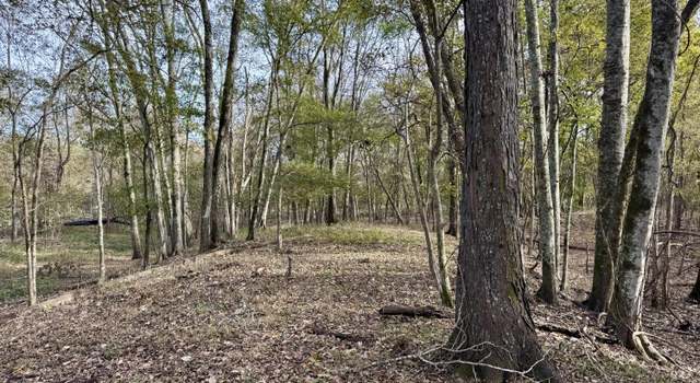 Photo of 00001 Hwy 51, Pickens, MS 39146