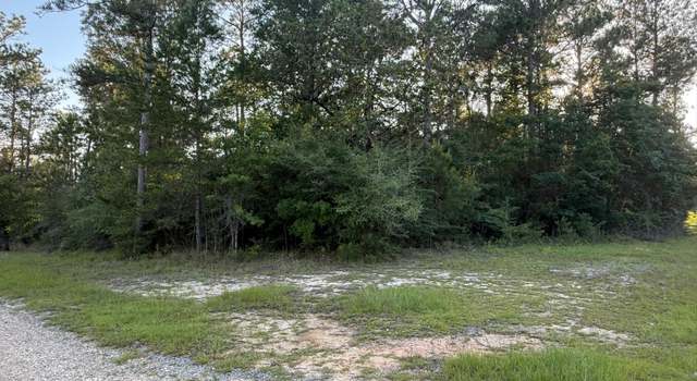 Photo of 1.3 Ac Burnt Pine Rd, MS 39451