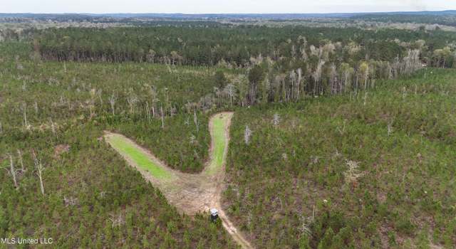 Photo of Skinner Place Road Rd, Union, MS 39365