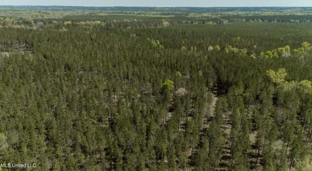 Photo of 0000 Point Wanita Lake Rd, Meridian, MS 39301
