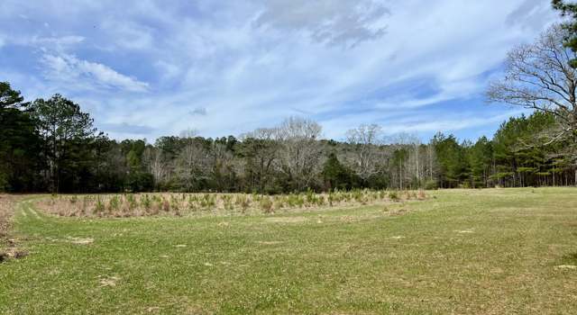 Photo of Hwy 24, Liberty, MS 39645