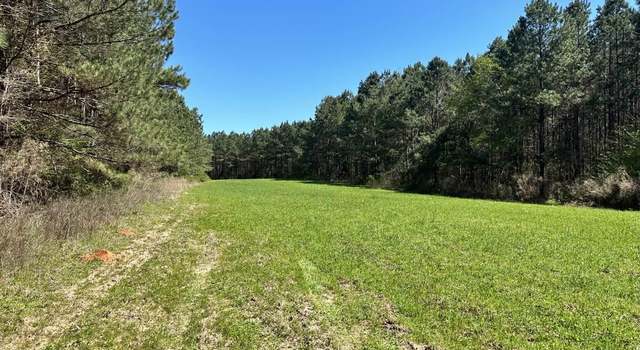 Photo of 0000 Crossroads Rd, Decatur, MS 39327
