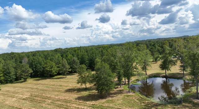 Photo of 651 Petrified Forest Rd, Flora, MS 39071
