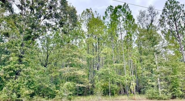 Photo of 3.02 Acres Timberidge Rd, Lucedale, MS 39452