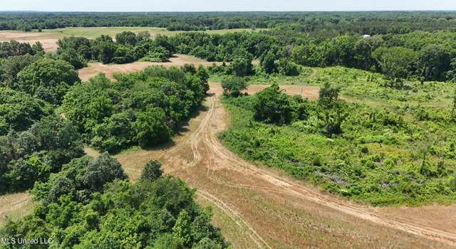 Photo of 74 Newell Rd, Lake Cormorant, MS 38641