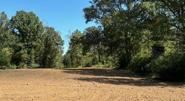 Photo of 5785 Meadville Rd, Fayette, MS 39069