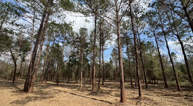 Photo of Nhn E Wire East Rd, Perkinston, MS 39573