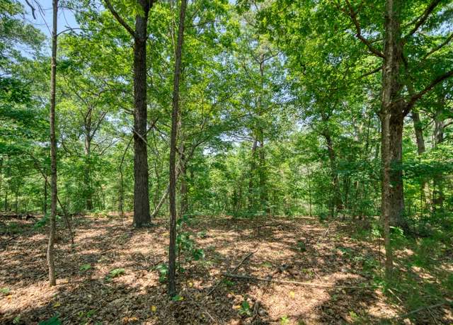Property at Pine Ridge Lane / C St, Eureka Springs, AR 72631