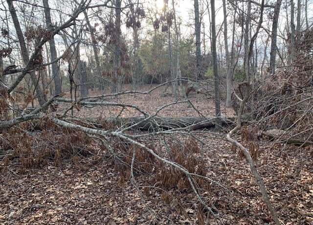 Property at 8119 Beaver Shores Rd, Rogers, AR 72756