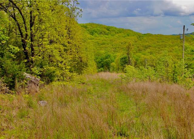 Property at 000 Dunkard Rd, Harrison, AR 72601
