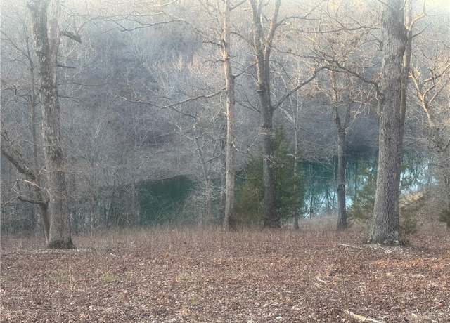 Property at TBD Hwy 14 West, Omaha, AR 72662