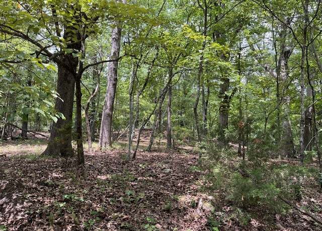 Property at TBD Trestle St, Winslow, AR 72959