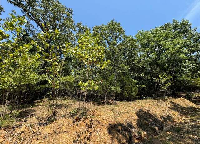 Property at Tract B Director Rd, West Fork, AR 72774