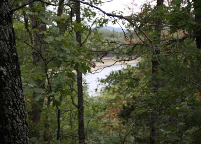 Property at Lot 42 Webb's Landing Ln, Yellville, AR 72687