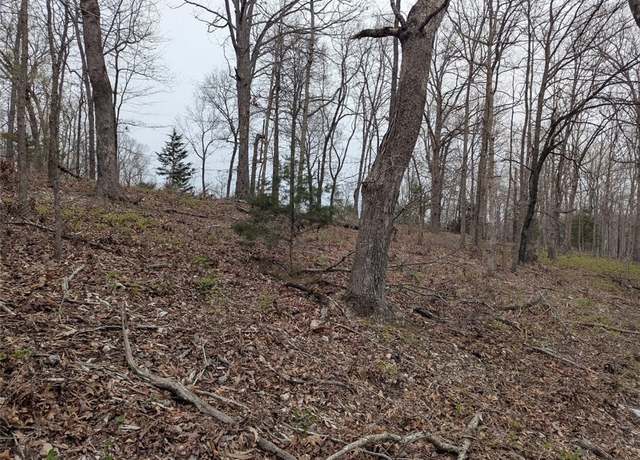 Property at 000 Buford, Noel, MO 64854