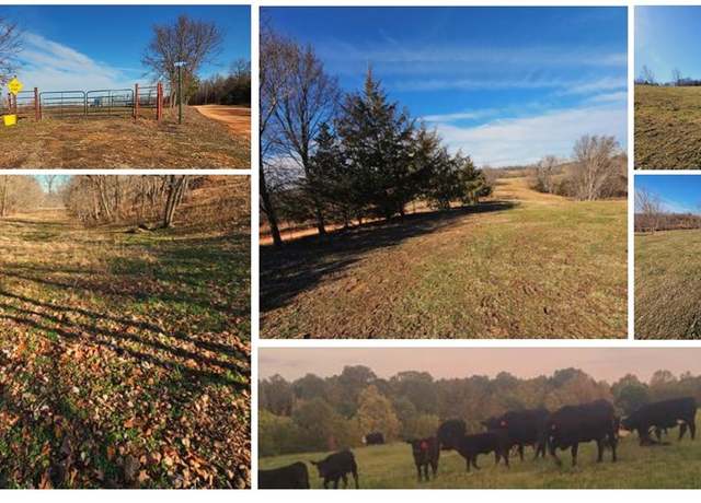 Property at 9.69 Acres Low Gap Rd, Noel, MO 64854
