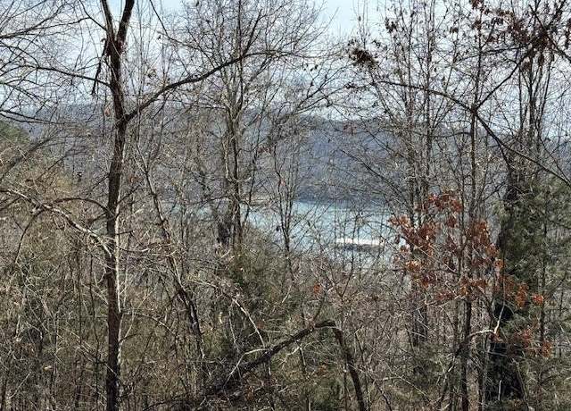 Property at 101 Amity Way, Eureka Springs, AR 72632